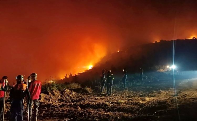 قنصليتنا في إسطنبول تهيب بمواطنينا لتوخي الحذر من حرائق الغابات في بورصة